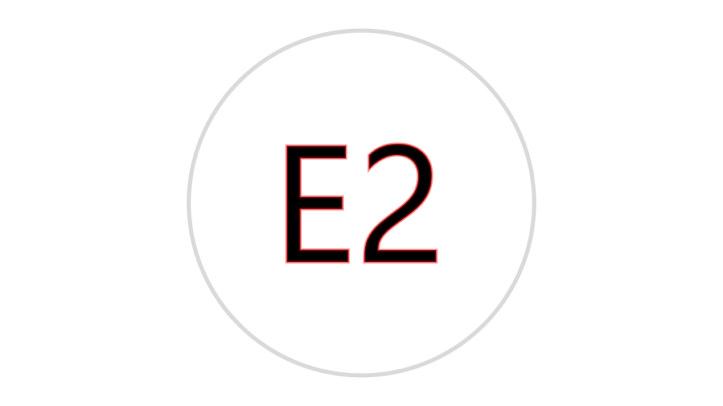 Logo E2
